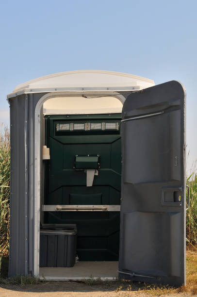 Best Portable bathroom rental  in Brown City, MI